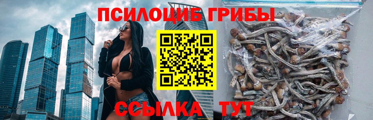 Петрозаводск  Галлюциногенные грибы MAGIC MUSHROOMS  Вход с VPN 